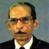 Nami Ansari